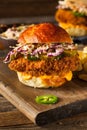 Southern Country Fried Chicken Sandwich Royalty Free Stock Photo