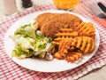 Southern fried chicken fillet meal with green fresh salad and fancy cut potato chips served on white plate and glass of lager beer Royalty Free Stock Photo