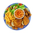 Southern Fried Chicken And French Fries Royalty Free Stock Photo