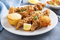Southern fried fish with cornbread Royalty Free Stock Photo