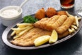 Southern fried fish plate Royalty Free Stock Photo