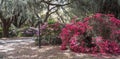 Southern Garden Charleston South Carolina Royalty Free Stock Photo