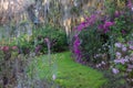 Southern Garden in Springtime SC Royalty Free Stock Photo