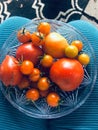 Homegrown Tomatoes on a clear plate