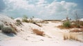 Southern Gothic-inspired Sand Dunes And Water In Analog Film Photography