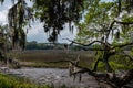 Southern Landscape Royalty Free Stock Photo