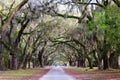 Southern Plantation, with oak tree path Royalty Free Stock Photo