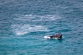 Southern right whale breaching on the surface. Young whale calf playing, exercising and jumping out of the water showing open