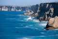 Southern Right Whale Bunda cliffs Nullarbor Plain Royalty Free Stock Photo