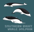 Southern Right Whale-Dolphin Cartoon Vector Illustration