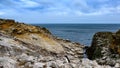 Rockhopper penguin - Eudyptes chrysocome - coming up over rockbound coast to colony, New Island, Falkland Islands Royalty Free Stock Photo