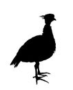 Southern screamer bird vector silhouette isolated on white background. Chauna torquata. Chaja or crested screamer, big gray bird. Royalty Free Stock Photo