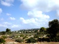 On the southern slope of the famous biblical mountain Carmel is Rothschild Park Royalty Free Stock Photo