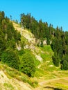 Southern slope of Rosa Peak Mountain on sunny day in summer