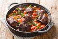 Southern Spain food Rabo de Toro Oxtail Stew with red wine closeup on a pot. Horizontal Royalty Free Stock Photo