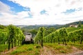 Southern Styria Austria - Grape vines: Tractor in steep vineyard Royalty Free Stock Photo