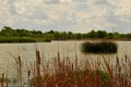 Southern Texas Lake, Rio Grande Valley