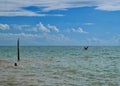 Southernmost point of Florida and the United States in the Atlantic Ocean with person swimming and water birds Royalty Free Stock Photo