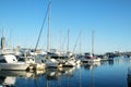 Southport Marina Gold Coast Royalty Free Stock Photo