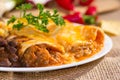 Southwest beef enchilada. Royalty Free Stock Photo