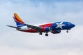 Southwest Boeing 737-700 airplane at Dallas Love Field Airport in the United States Lone Star special livery