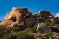 Southwest desert landscape, blue sky, desert plants, yucca and large boulders in foreground,