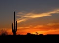 Southwest Desert at Sunset