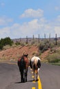 Southwest Landscape with Horses Royalty Free Stock Photo