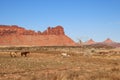 Southwest pasture Royalty Free Stock Photo