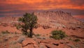 Southwest usa National Parks. Canyonlands Royalty Free Stock Photo