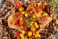 Southwestern Chicken with Rice and Corn Royalty Free Stock Photo