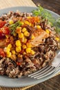 Southwestern Chicken with Rice and Corn Royalty Free Stock Photo