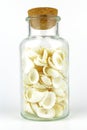 Souvenir bottle with cockle shells isolated on a white background Royalty Free Stock Photo