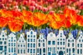 Souvenir canal houses with blooming orange tulips Royalty Free Stock Photo
