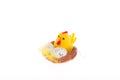 Souvenir for Easter - chicken egg hatches
