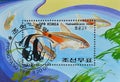 Neon Tetra (Hyphessobrycon innesi), International Stamp Exhibition PHILANIPPON \'91,Tokyo