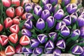 the Souvenirs at Bloemenmarkt - floating flower market on Singel Canal. Amsterdam. Netherlands Royalty Free Stock Photo