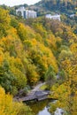 Vertical shot of Sovata, Romania in autumn shades.