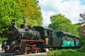 SOVATA, ROMANIA - Sep 19, 2019: The narrow gauge train with tourists from Sovata resort - Romania
