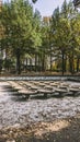 Soviet fountain without water in autumn