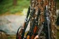 Soviet and German rifles of World War II - SVT 40