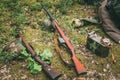 Soviet and German rifles of World War II - SVT 40 Royalty Free Stock Photo