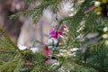 Soviet Christmas toy rabbit hanging on Christmas tree