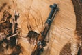 Soviet russian rifle of World War II leaning against trunk of tr Royalty Free Stock Photo