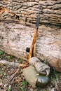 Soviet russian rifle of World War II leaning against trunk of tr Royalty Free Stock Photo