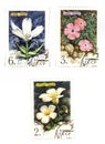 Soviet stamps with flowers