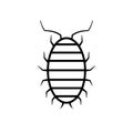 Sow bug icon Royalty Free Stock Photo