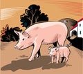 Sow with piglet