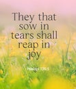 Bible words ` They that sow in tears shall reap in joy Psalms 126:5`