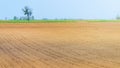 Sowed field. Agricultural fields in spring. Sowing crops.